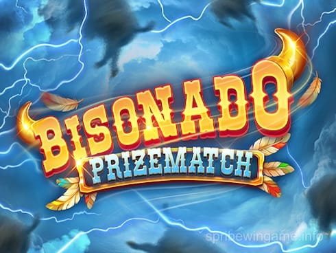 Bisonado PrizeMatch Game Image