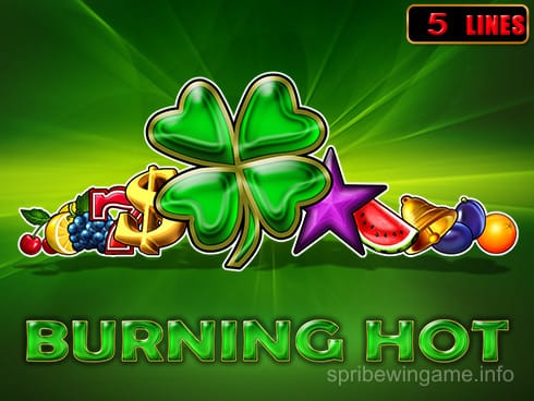 Burning Hot Game Image