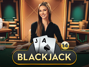 Blackjack 14 Game Image
